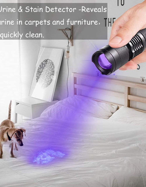 Load image into Gallery viewer, UV LED Flashlight Mini LED Torch 395nm Zoomable blacklight Wavelength Violet Light Pet Urine Scorpion Feminine hygiene Detector