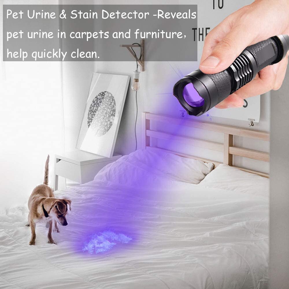 UV LED Flashlight Mini LED Torch 395nm Zoomable blacklight Wavelength Violet Light Pet Urine Scorpion Feminine hygiene Detector